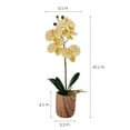 thumbnail image 2 of Home Accents 16-Inch Artificial Real Touch Phalaenopsis Orchid in Faux Wood Cement Pot, 2 of 6