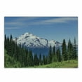 thumbnail image 1 of Mt Rainier Cutting Board, Calm Scene of Snowy Mountain Forest Trees and Grassy Recreation Photo USA, Decorative Tempered Glass Cutting and Serving Board, in 3 Sizes, by Ambesonne, 1 of 2