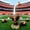 Brown, variant on Porch Goose Costume, Czzoypi Sports Theme Goose Outfit, 23 Inch Polyester Lawn Goose Clothing for Football Basketball Decor, Brown