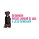 thumbnail image 2 of Apoquel Zoetis Caja con 20 tabletas Para Perros de más de 12 meses, 2 of 2