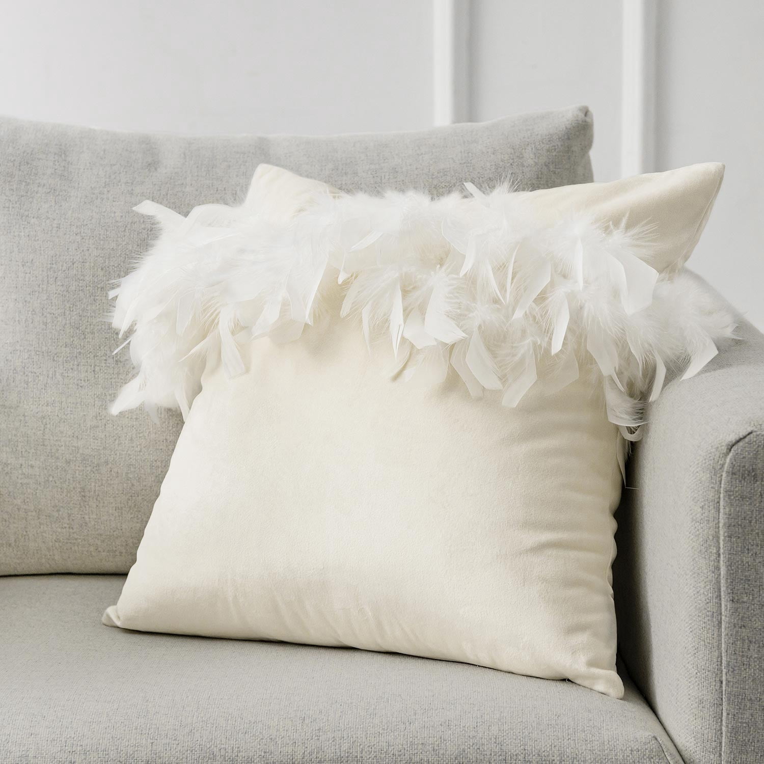 Soft Feather Velvet Modern Cushion, Decorative Couch Pillow, 22" x 22", Off White, 2 Pack