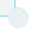 thumbnail image 5 of USSUMA Urine Pad Absorbent Pad Pet Specific Diaper Non Wetting Paper Diaper Cage Urine Isolation Pad 33 X 45cm, 5 of 6