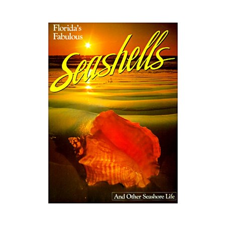 Florida S Fabulous Seashells And Other Seashore Life