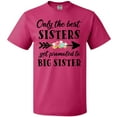 thumbnail image 3 of Inktastic Only the Best Sisters Get Promoted to Big Sister T-Shirt, 3 of 5