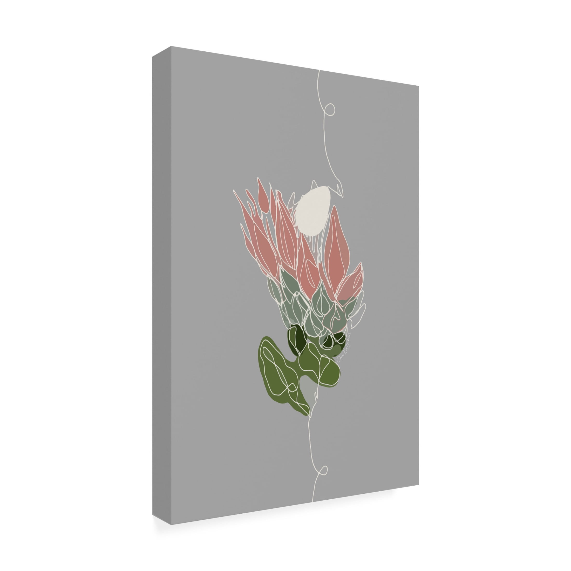 Canvas Wall Art - Cherie Roe Dirksen 'Pink King Protea' Wall Art for Living Room, Bedroom, or Office Décor by Trademark Fine Art - 16 x 24 Inches