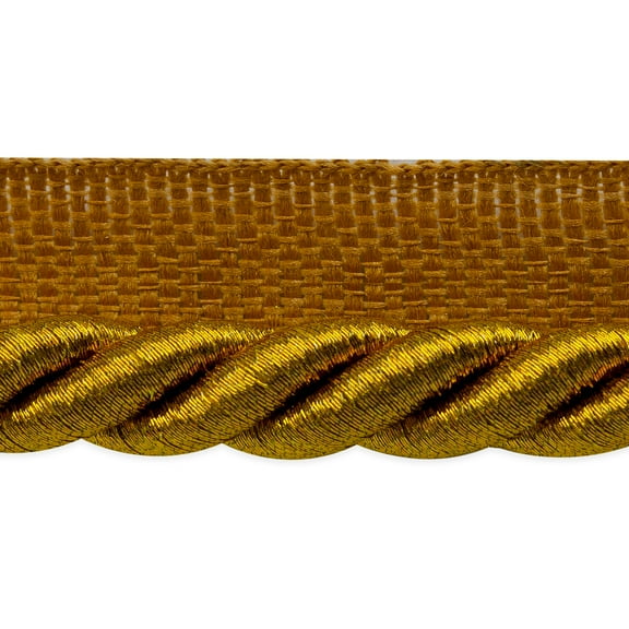 Expo Int'l 20 yards of Nicholas 3/8" Twisted Lip Cord Trim