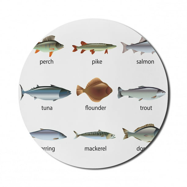 Fish Mouse Pad for Computers, Group of Animals Perch Tuna Pike Flounder  Mackerel Trout Aquatic Life Artwork Print, Round Non-Slip Thick Rubber  Modern Mousepad, 8