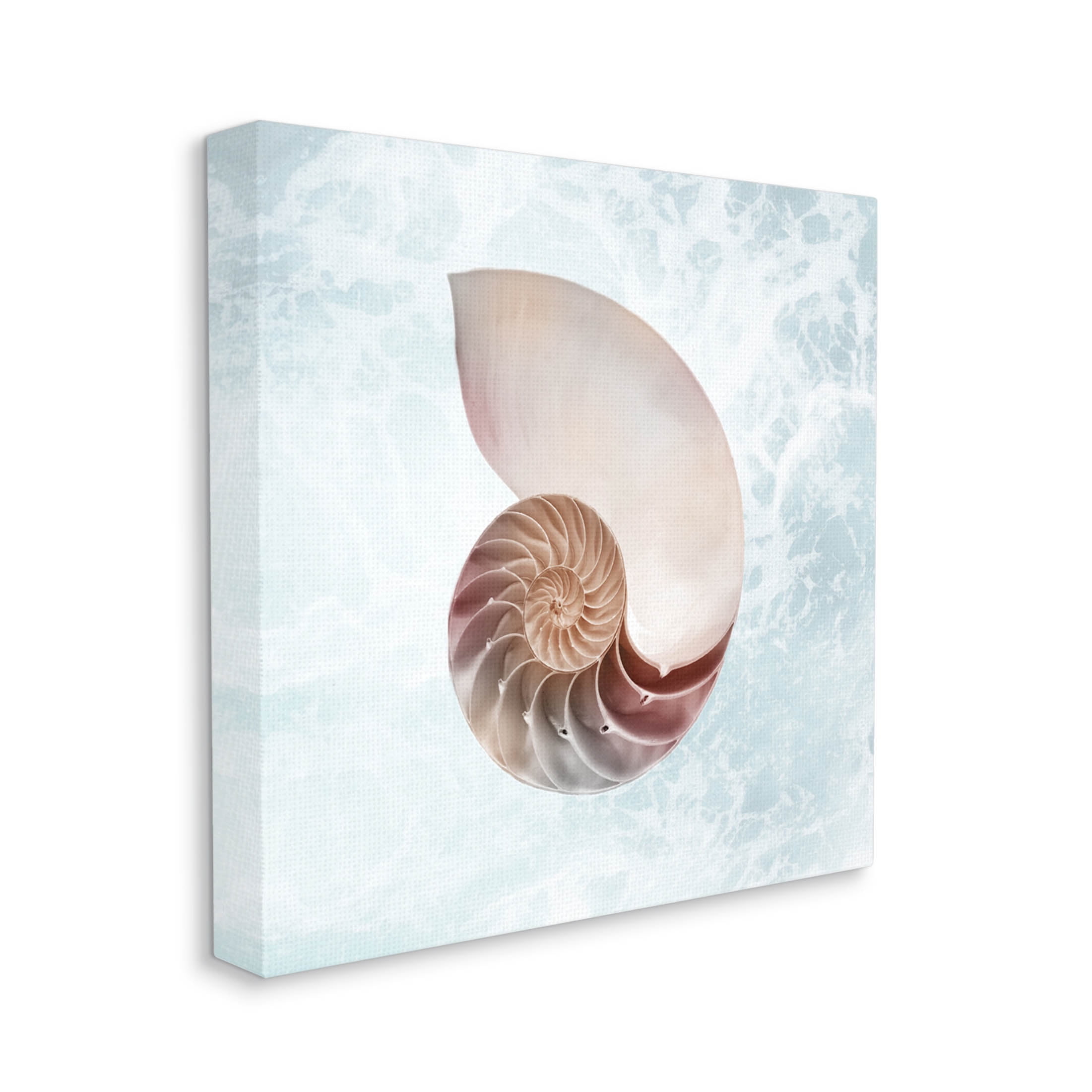Stupell Industries Aquatic Nautilus Spiral Seashell Graphic Art Gallery Wrapped Canvas Print Wall Art, Design by Marcus Prime