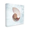 thumbnail image 3 of Stupell Industries Aquatic Nautilus Spiral Seashell Graphic Art Gallery Wrapped Canvas Print Wall Art, Design by Marcus Prime, 3 of 7
