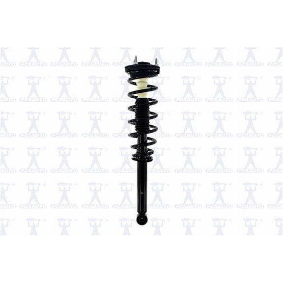 Suspension Strut and Coil Spring Assembly