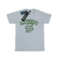 thumbnail image 1 of Harry Potter Mens Slytherin Sport Emblem T-Shirt, 1 of 5