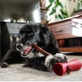 thumbnail image 4 of Bully Bunches Bully Stick Dog Chew Safety Holder, 4 of 6