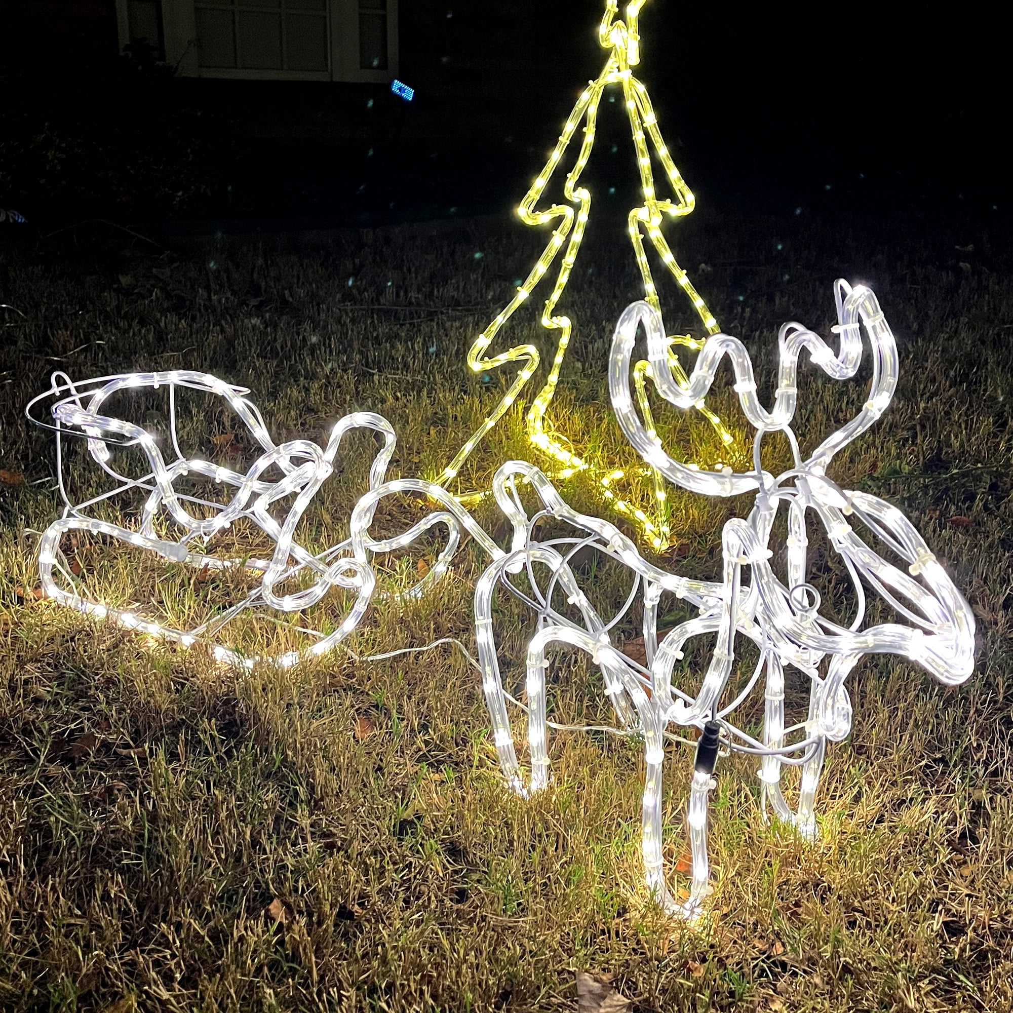 Christmas Reindeer and Sleigh
