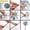🥝 A_Hot#11, variant on Garden Bird Deterrent Reflective Pinwheel Set - Outdoor Spinning Bird Scarer, Wind-Activated Visual Bird , Decorative Yard & Farm , 5 Pack