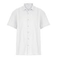 thumbnail image 2 of Floenr Mens T Shirts,Men's Button Trend Casual Shirts Cotton Linen Shirts Long Sleeve Shirts, 2 of 7