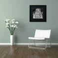 thumbnail image 3 of Trademark Fine Art "Liguria II" Canvas Art by Alan Blaustein, Black Matte, Black Frame, 3 of 4