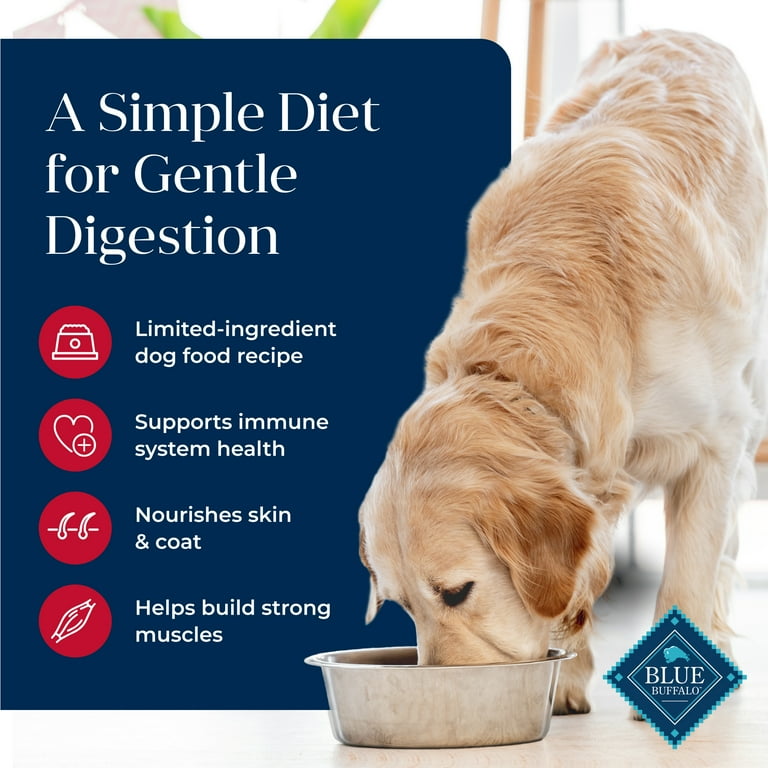 Blue Buffalo Basics Adult Dry Dog Food Limited Ingredient Diet Salmon 24 lbs