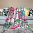 thumbnail image 2 of ARISTURING Flamingo Blanket for Women, Flamingo Gifts for Women, Super Soft Flamingo Throw Blanket, Pink Flamingo Blanket, Flamingo Decor All Season Throw Blanket for Girls Women, 2 of 6