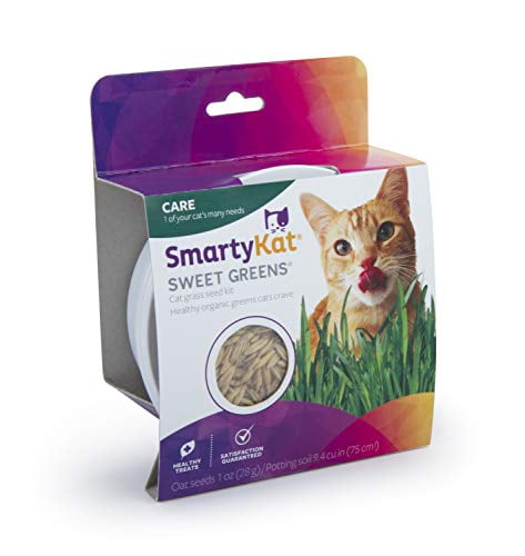 smartykat sweet greens cat grass kit