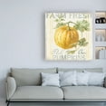 thumbnail image 3 of Trademark Fine Art 'Floursack Autumn V' Canvas Art by Danhui Nai, 3 of 3