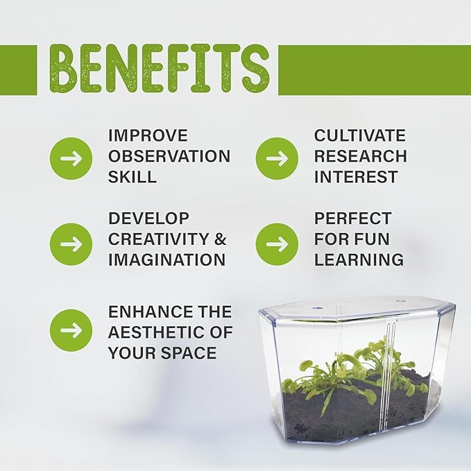 Live Venus Flytrap Kit with Carnivorous Plant Food, Tweezers, Peat Pellets & 7.5" Clear Tank – 2 Flytrap, Bug-Eating Plants for Indoor STEM Learning