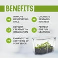 thumbnail image 3 of Live Venus Flytrap Kit with Carnivorous Plant Food, Tweezers, Peat Pellets & 7.5" Clear Tank – 2 Flytrap, Bug-Eating Plants for Indoor STEM Learning, 3 of 6
