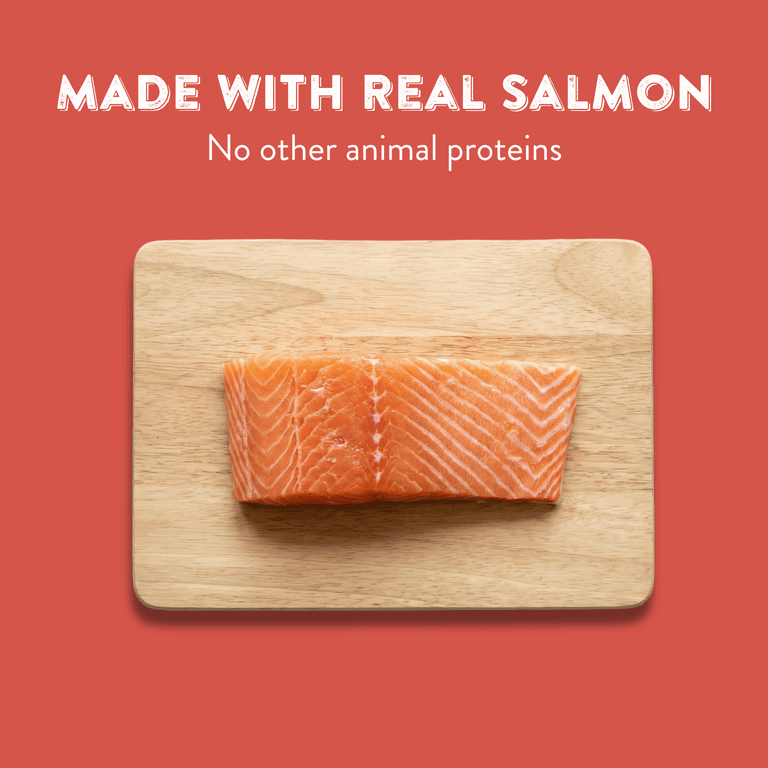 Slow-Roasted Salmon Jerky Dog Treats photo 4