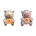 thumbnail image 1 of Carpincho Muñeca Confort Con Luces Musicales Chupete para Dormir Bebés Recién Nacidos () Blanco, 1 of 6