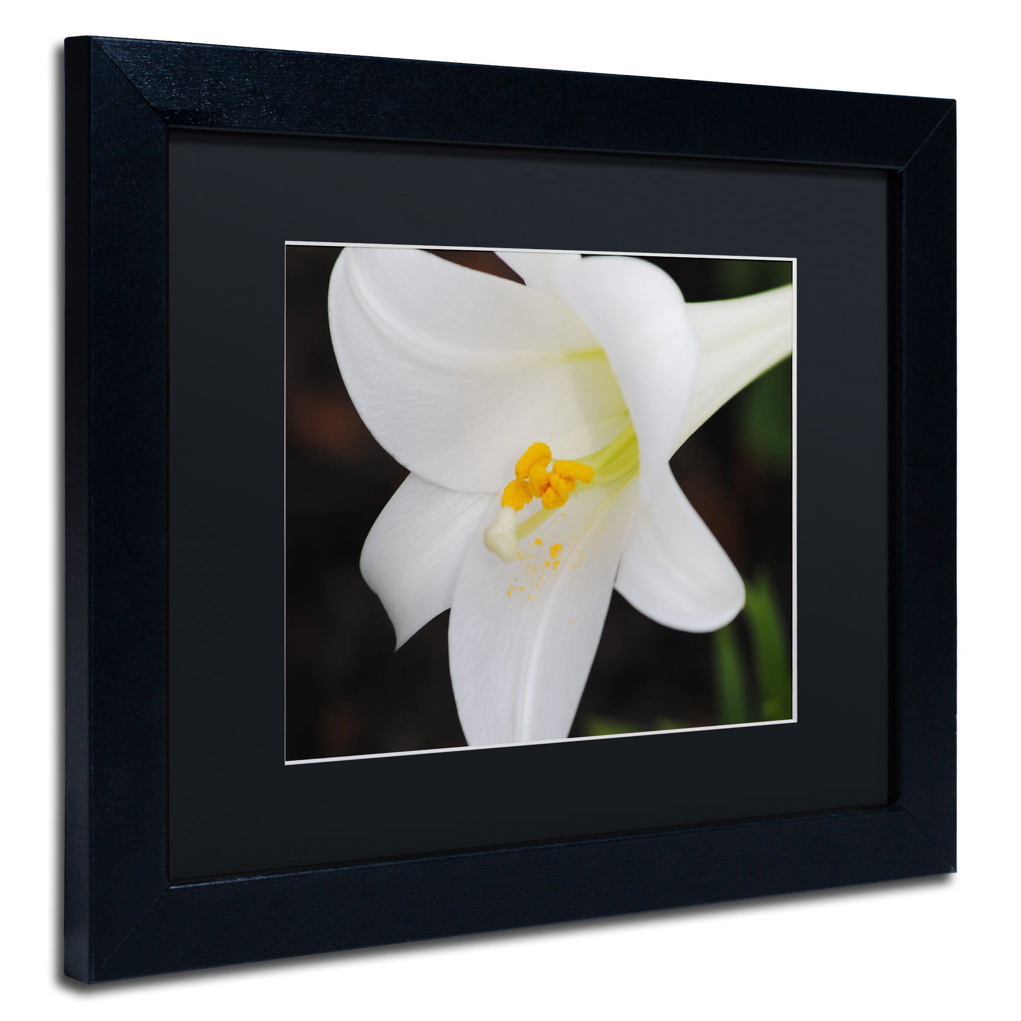 Trademark Fine Art "Easter" Canvas Art by Monica Mize, Black Matte, Black Frame