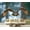 Color9, variant on Peel and Stick Wallpaper Eurasian Eagle owl open wings forest cold winter Modern Art Wall Mural Decor Self Adhesive and Removable 69in x 98in