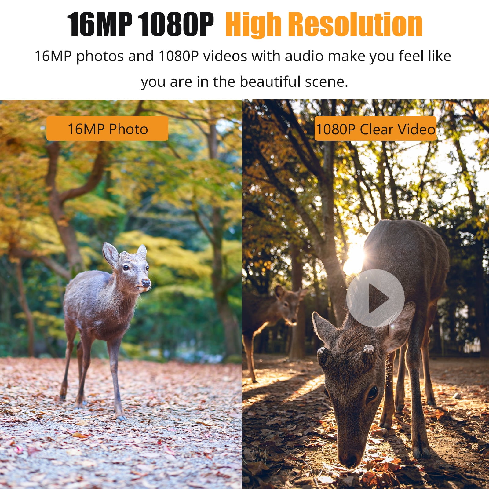 Dadypet 1080P Trail Game Camera with IR Night Vision, Motion Detection, IP66 Waterproof, and 2.4'' TFT Color Display for  Wildlife, Farm, and Home Use