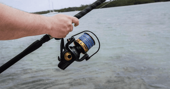 Penn Spinfisher VI Spinning Fishing Reel with 6 Bearings, Size 5500, Black/Gold