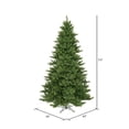thumbnail image 3 of Vickerman A860955 5.5  x 43   Camdon Fir Tree 886 Tips, 3 of 6