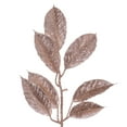 thumbnail image 2 of Vickerman 6' Café Latte Artificial Gardenia Glitter Garland., 2 of 5