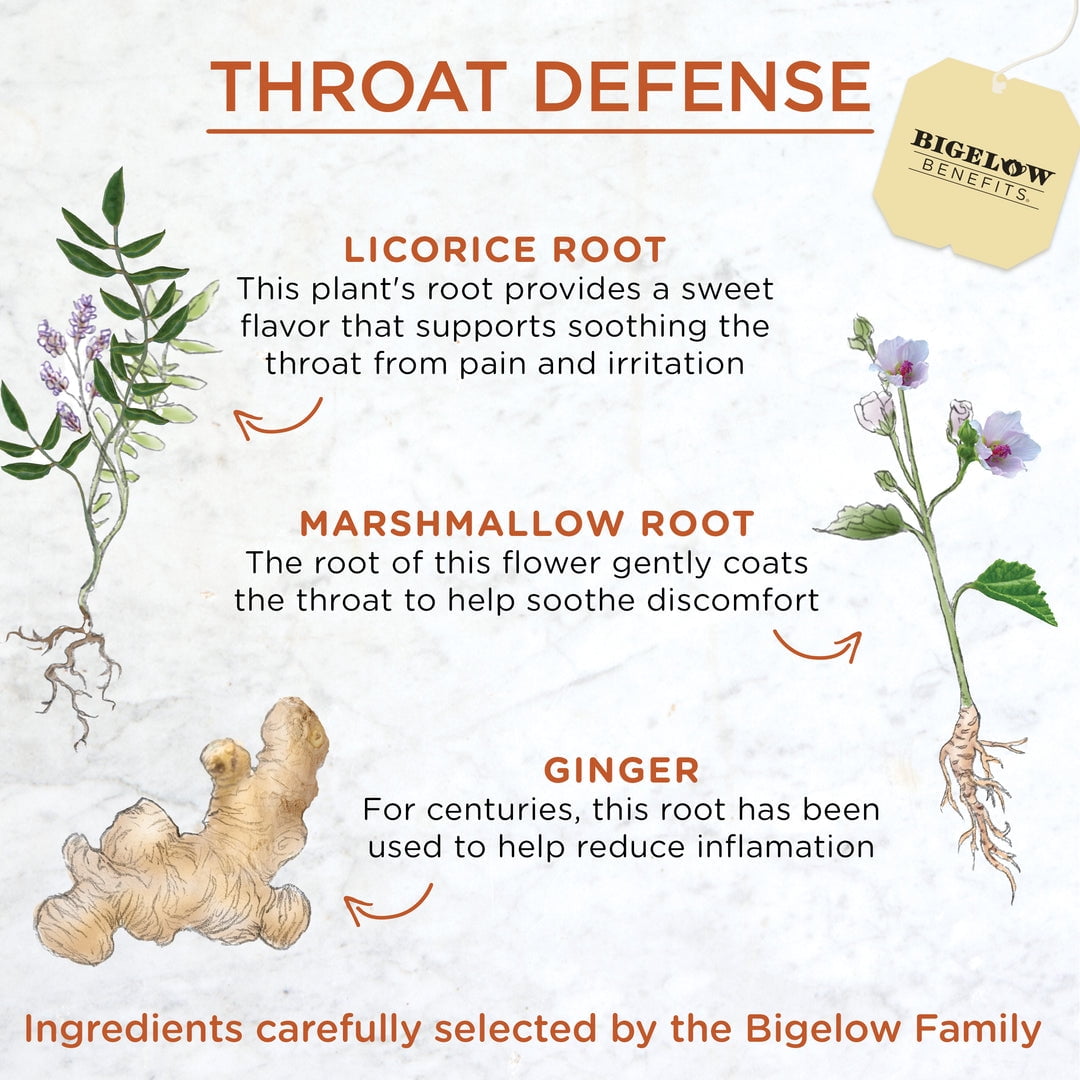 (Pack of 6), Bigelow Throat Defense™ Ginger Honey Lemon Herbal Tea, 1.06 oz
