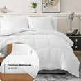 thumbnail image 4 of Casa Platino King Comforter Set Pre-Washed – 7 Piece Bed in a Bag – Brushed Soft Microfiber King Bedding Set with Comforter, Flat Sheet, Fitted Sheet, 2 Pillowcases & 2 Shams - White, 4 of 8
