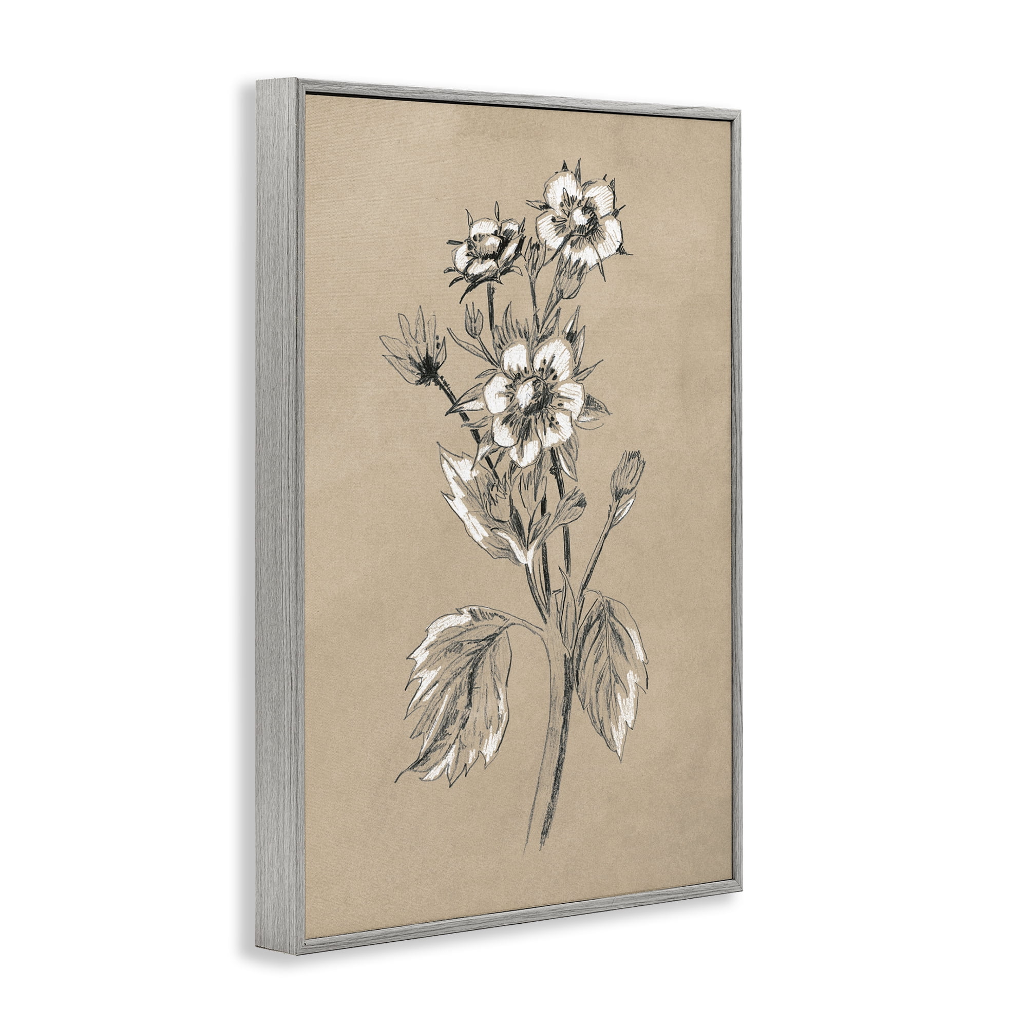Stupell Industries Apple Blossom Drawing Botanical & Floral Drawing Gray Framed Art Print Wall Art, 12 x 18