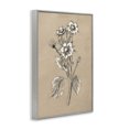 thumbnail image 4 of Stupell Industries Apple Blossom Drawing Botanical & Floral Drawing Gray Framed Art Print Wall Art, 12 x 18, 4 of 10