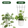 thumbnail image 6 of 2Pcs Trellis 15.8 in Iron Growing Support Weather Resistant Climbing Rack Garden Decorative Tools for Indoor Outdoor Vines Flower Vegetable, 6 of 10