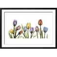 thumbnail image 2 of Tulipscape Portrait, Botanical Framed Art Print Wall Art by Albert Koetsier Sold by Art.Com, 2 of 6