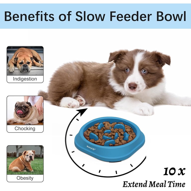 MateeyLife Slow Feeder Dog Bowls, 2-Pack, 1 Cup, Blue photo 2