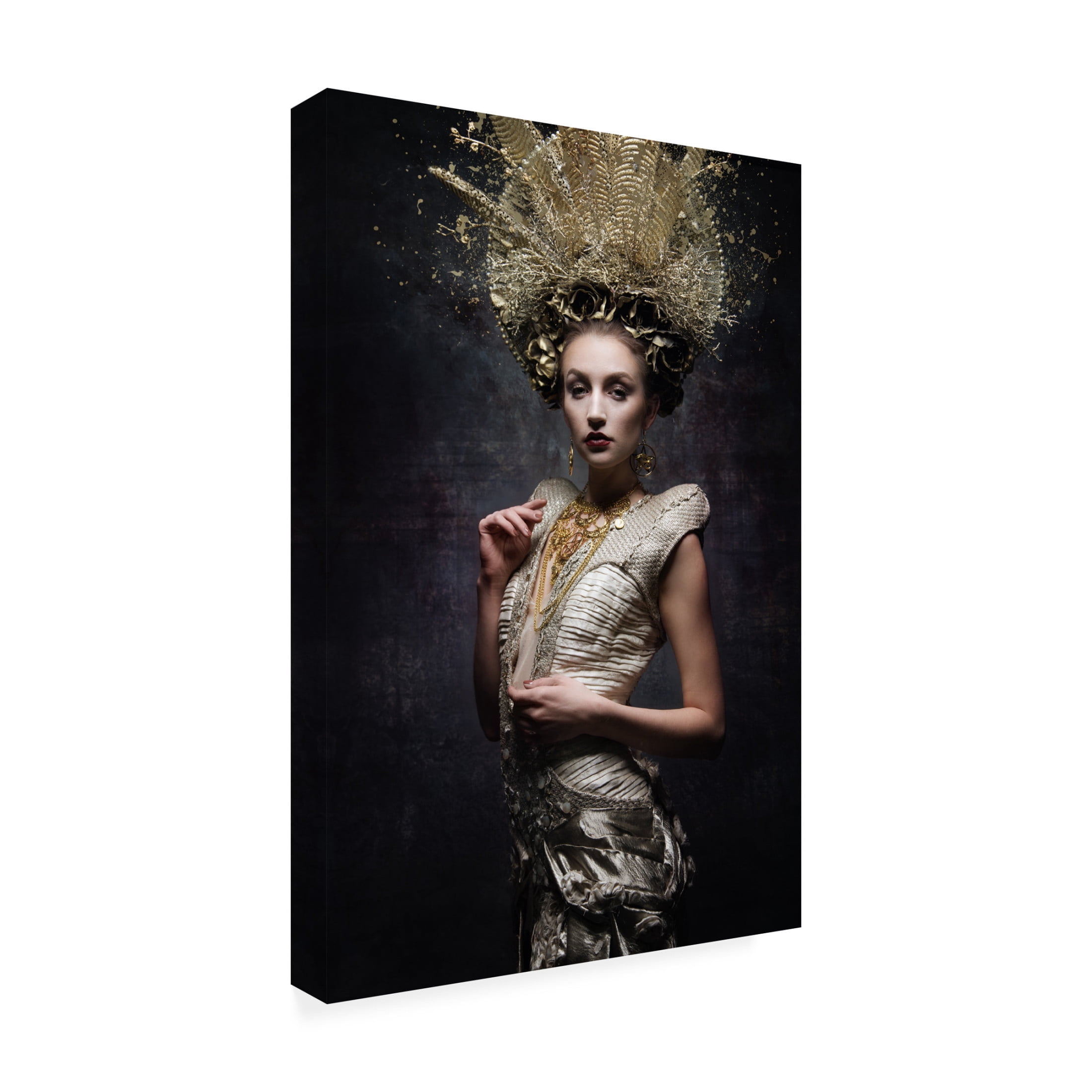 Canvas Wall Art - Siegart  'The Priestess' Wall Art for Living Room, Bedroom, or Office D?cor by Trademark Fine Art - 16 x 24 Inches