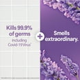 thumbnail image 4 of Clorox Scentiva Multi Surface Cleaner Spray, Lavender & Jasmine, 32 fl oz, 4 of 11