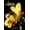 Golden Green, variant on Handicapée n'est pas mon nom, (Paperback)