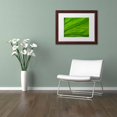 thumbnail image 3 of Trademark Fine Art "Green Elephant Ear Abstract" Canvas Art by Kurt Shaffer White Matte, Wood Frame, 3 of 4
