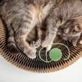 thumbnail image 4 of PEACNNG Cactus Scratching Post Small Cat Tree for Indoor Cats Green, 4 of 8