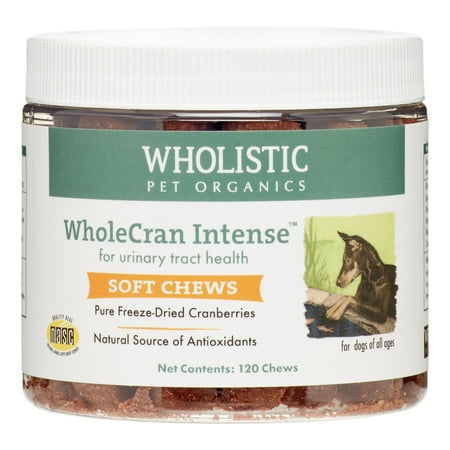 Wholistic Pet Organics WholeCran Intense Urinary Tract Dog Supplement, 120 (Best Dog Food For Urinary Tract Health)