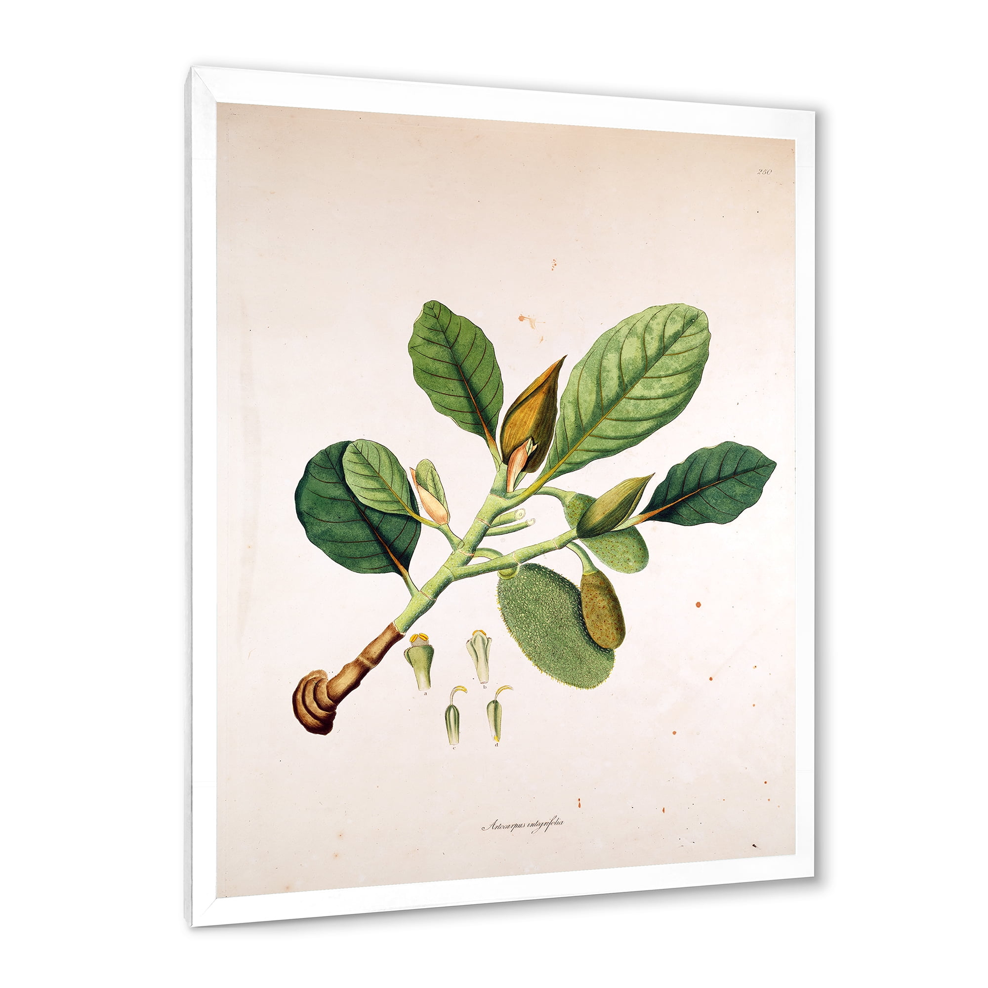 Designart 'Ancient London Plants I' Farmhouse Framed Art Print