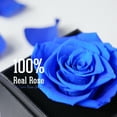 thumbnail image 7 of Otuo Preserved Roses Gift Jewerlry Box, Real Eternal Rose Flower with Necklace, Gifts for Girlfriend, Mom, Women, Wife, Birthday and Mothers Day (Blue), 7 of 7