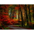 thumbnail image 2 of Art.com Colorful Way Photographic Print by Philippe Sainte-Laudy, 32" x 24", 2 of 4